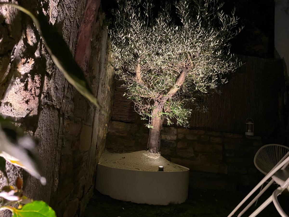 Ty Laumann Petite Maison Jardin Sur Le Port De Vannes Avec Parking Souterrain Buitenkant foto